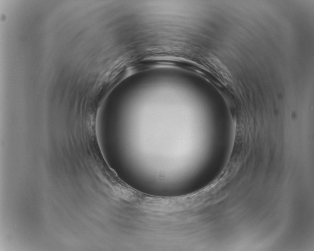 X0000089860045200706281302