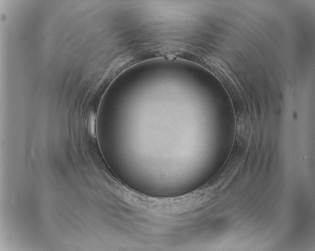 X0000089860046200706281302