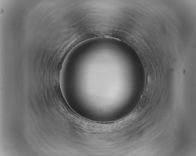 X0000089860048200706281301