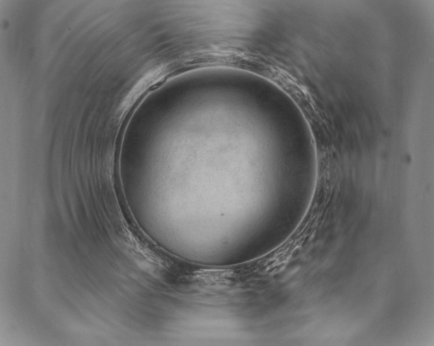 X0000089860051200706281301
