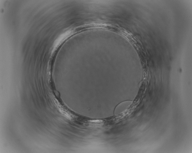 X0000089860053200706281301