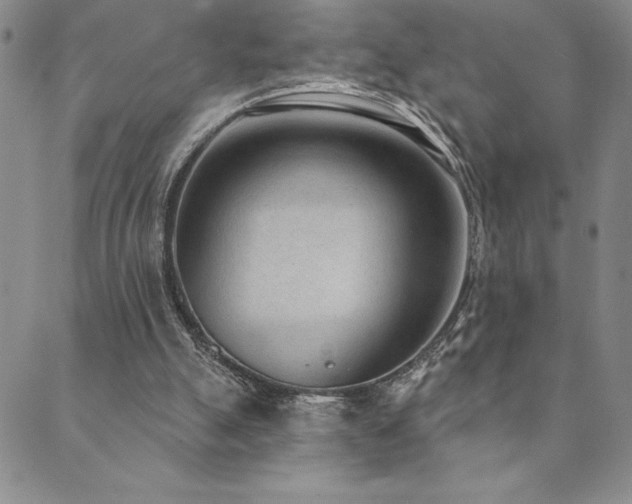 X0000089860055200706281301