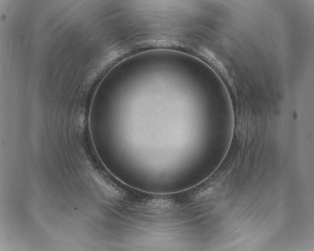 X0000089860063200706281301