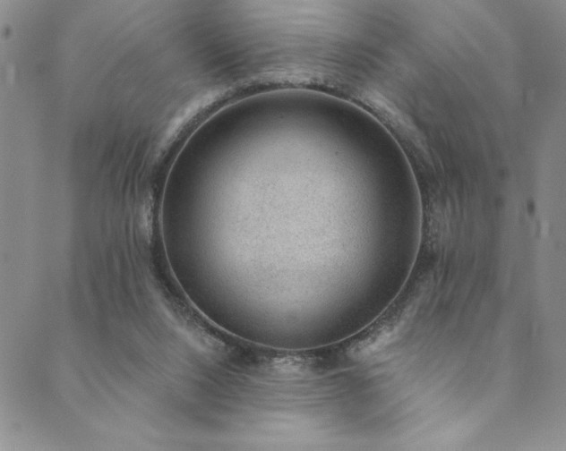 X0000089860064200706281301
