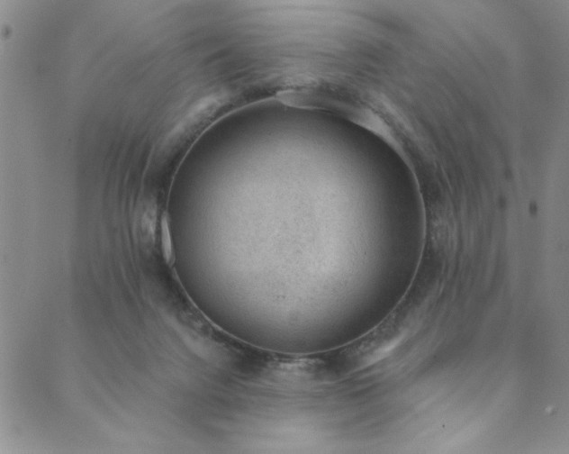 X0000089860072200706281301