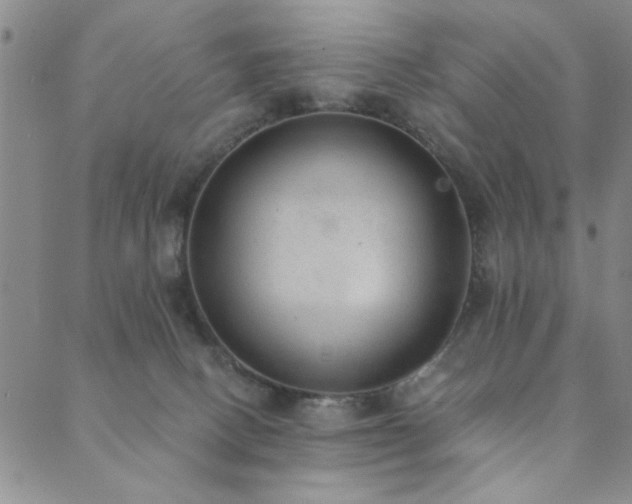 X0000089860082200706281301