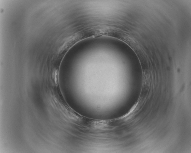 X0000089860094200706281301