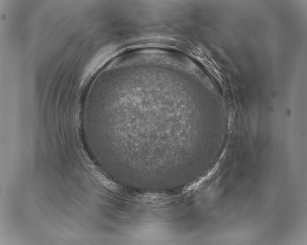 X0000089860101200706281301