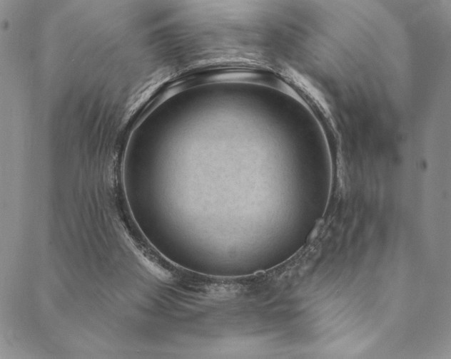 X0000089860105200706281301