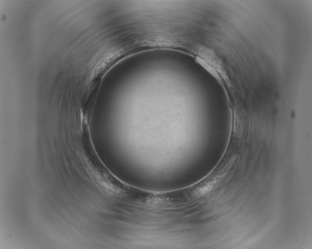 X0000089860109200706281300