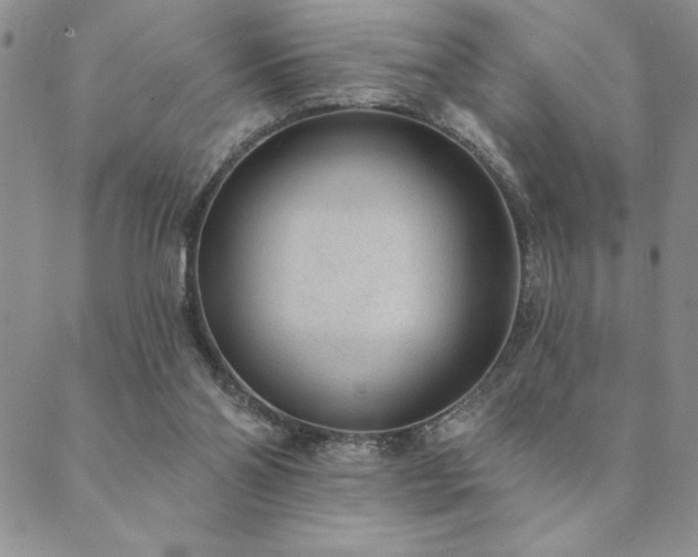 X0000089860110200706281300