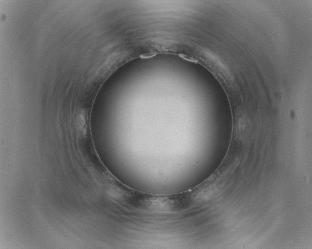 X0000089860121200706281300