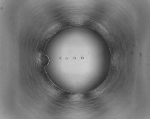 X0000089860122200706281300