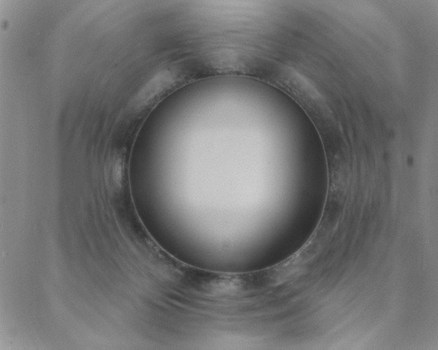 X0000089860124200706281300