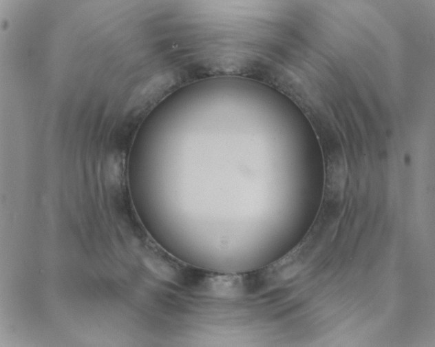 X0000089860126200706281300