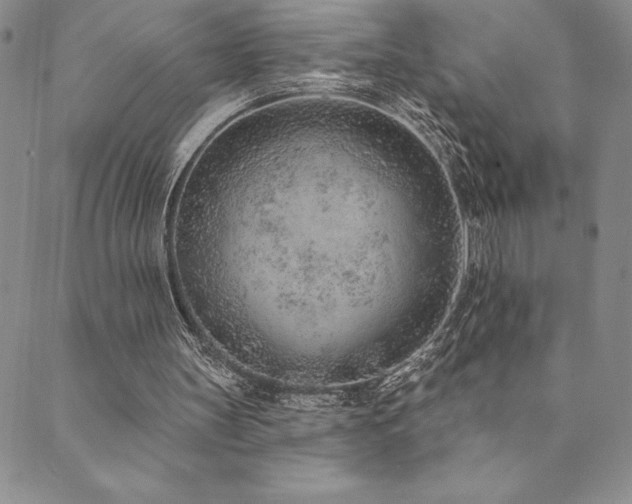 X0000089860147200706281259
