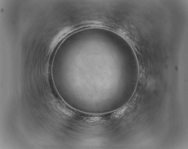 X0000089860151200706281259