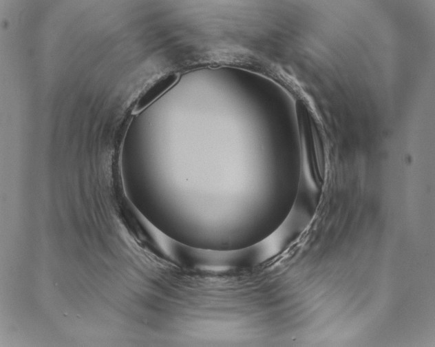 X0000089860154200706281259