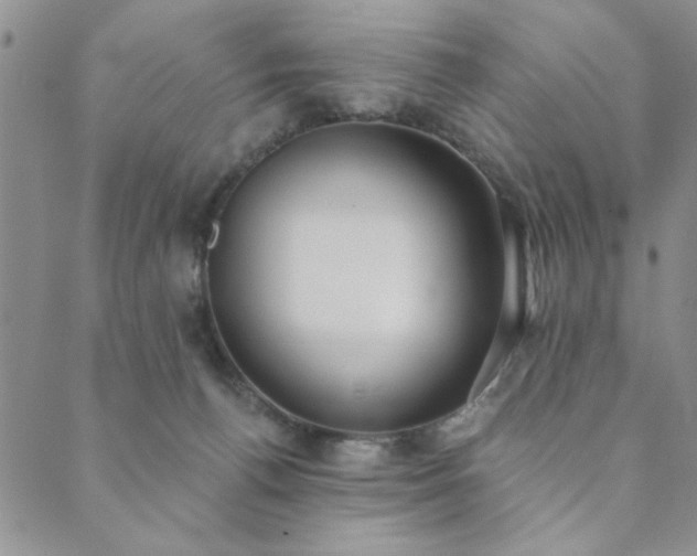 X0000089860176200706281300