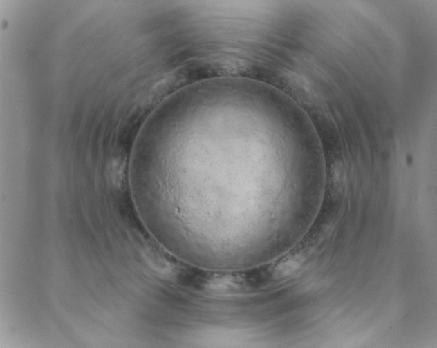 X0000089860177200706281300