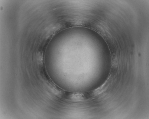 X0000089860179200706281300