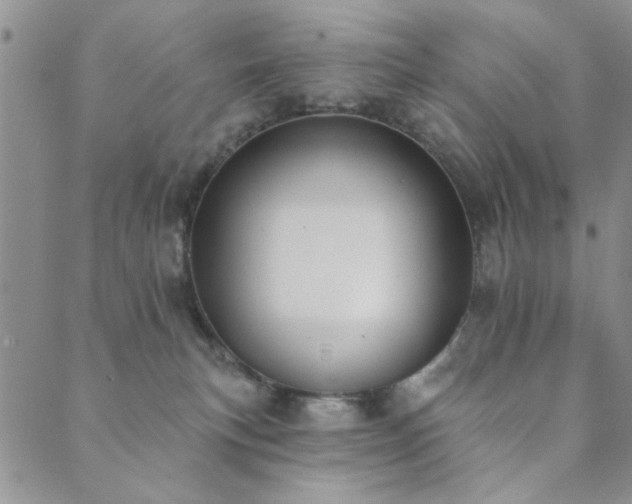 X0000089860183200706281300