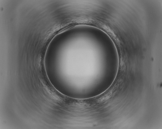 X0000089860201200706281259