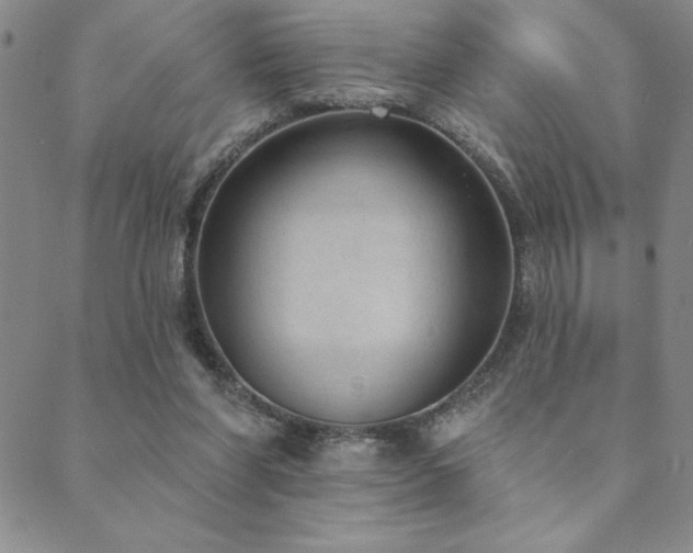 X0000089860206200706281259