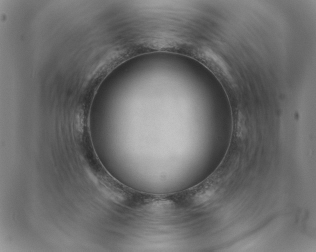 X0000089860210200706281259