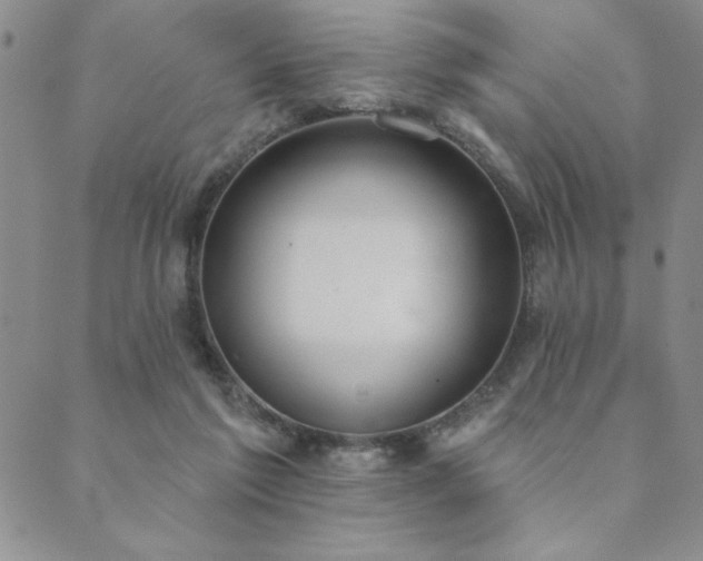 X0000089860213200706281259
