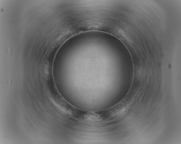 X0000089860215200706281259