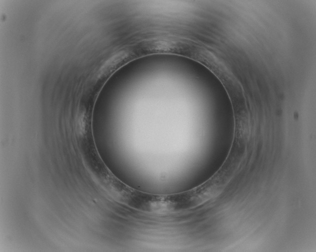 X0000089860216200706281259