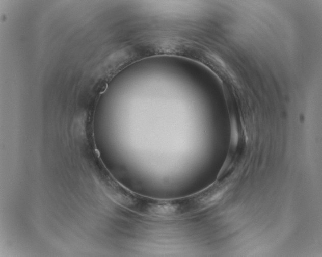 X0000089860217200706281259