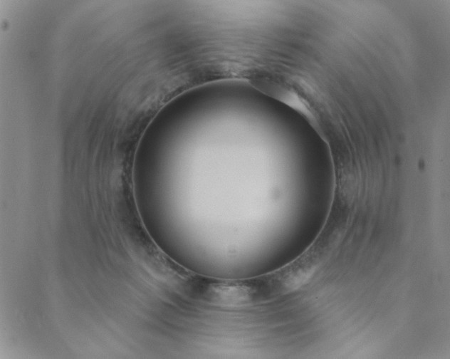 X0000089860221200706281259