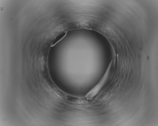 X0000089860223200706281259