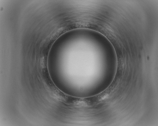 X0000089860224200706281259