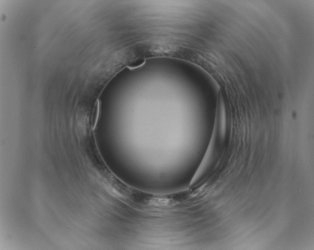 X0000089860227200706281259
