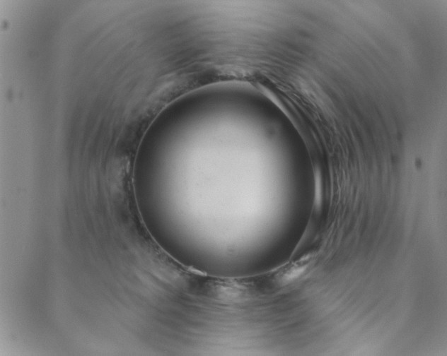X0000089860229200706281259
