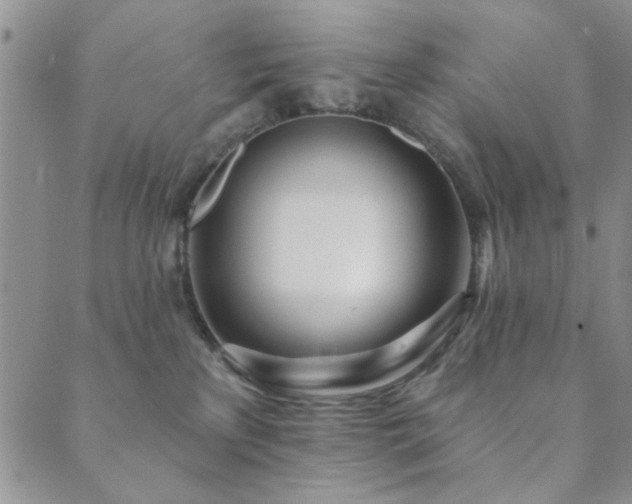 X0000089860233200706281258