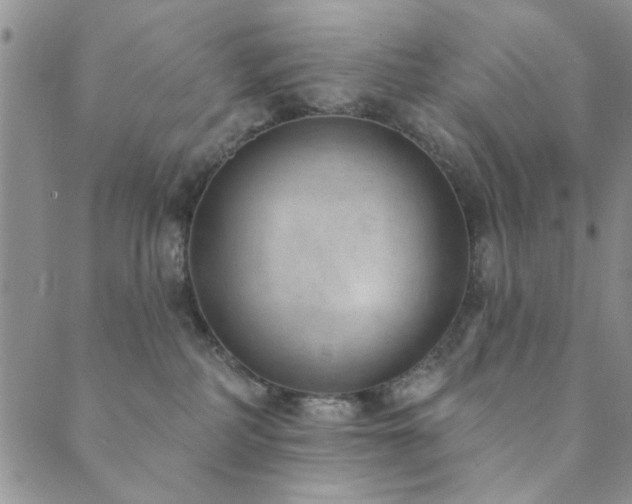X0000089860234200706281258