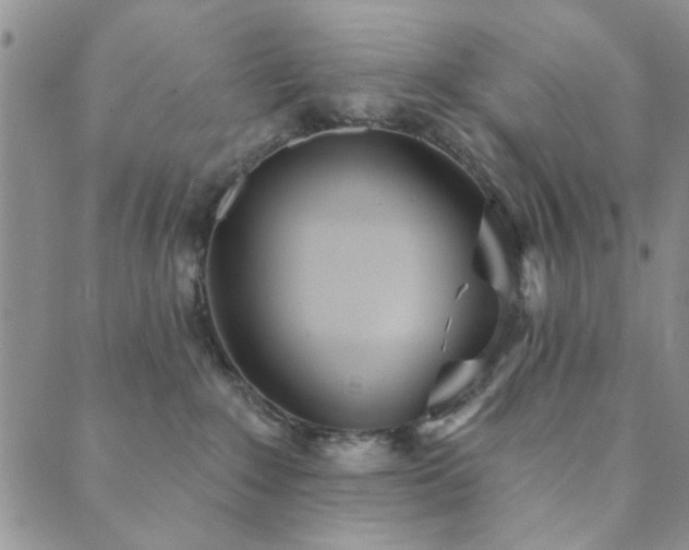 X0000089860235200706281258
