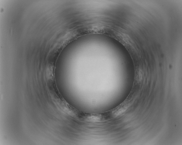 X0000089860236200706281258
