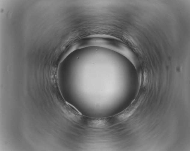 X0000089860237200706281258