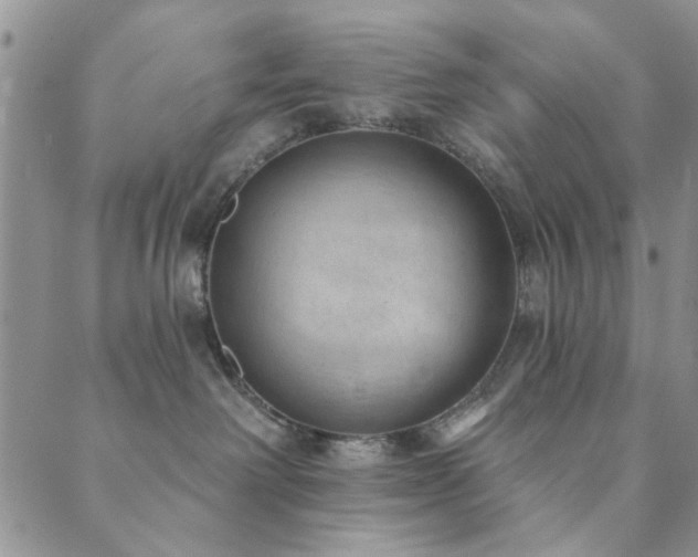 X0000089860238200706281258