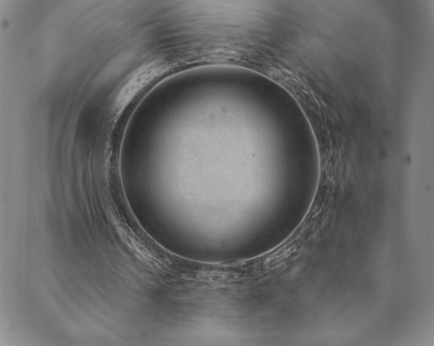 X0000089860242200706281258