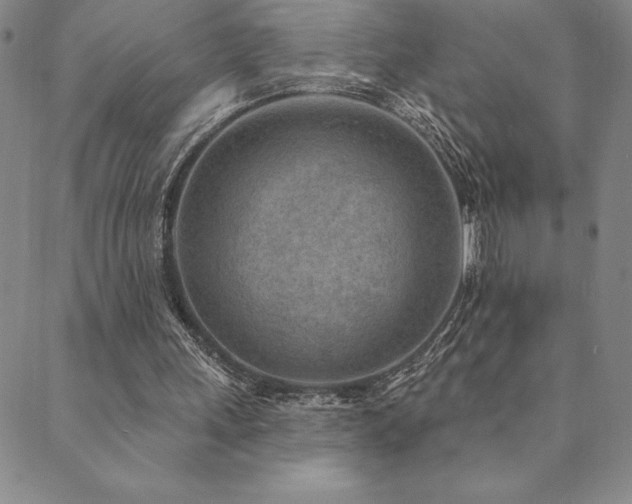 X0000089860243200706281258