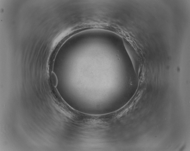 X0000089860246200706281258