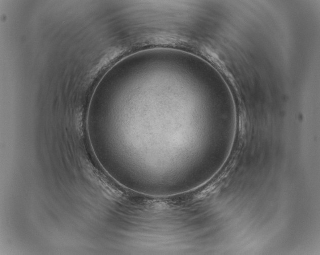 X0000089860249200706281258