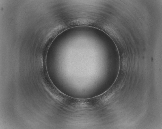 X0000089860254200706281258