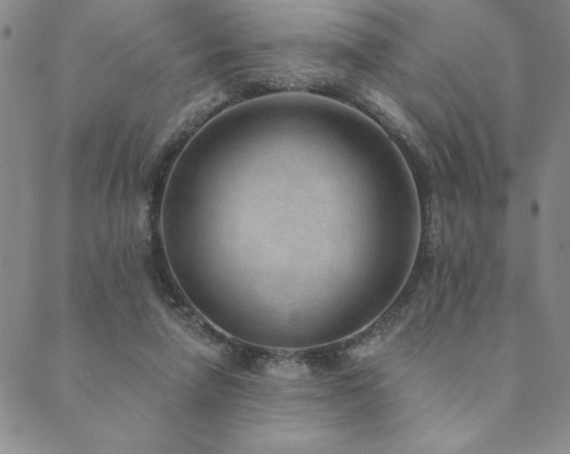 X0000089860258200706281258